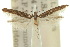  ( - 10ANIC-02892)  @11 [ ] CreativeCommons - Attribution (2010) CBG Photography Group Centre for Biodiversity Genomics