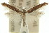  ( - 10ANIC-02893)  @11 [ ] CreativeCommons - Attribution (2010) CBG Photography Group Centre for Biodiversity Genomics