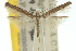  ( - 10ANIC-02895)  @11 [ ] CreativeCommons - Attribution (2010) CBG Photography Group Centre for Biodiversity Genomics