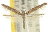  ( - 10ANIC-02897)  @11 [ ] CreativeCommons - Attribution (2010) CBG Photography Group Centre for Biodiversity Genomics