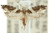  ( - 10ANIC-02955)  @13 [ ] CreativeCommons - Attribution (2010) CBG Photography Group Centre for Biodiversity Genomics