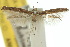  ( - 10ANIC-03058)  @11 [ ] CreativeCommons - Attribution (2010) CBG Photography Group Centre for Biodiversity Genomics