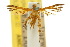  ( - 10ANIC-03130)  @11 [ ] CreativeCommons - Attribution (2010) CBG Photography Group Centre for Biodiversity Genomics