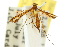  ( - 10ANIC-03164)  @11 [ ] CreativeCommons - Attribution (2010) CBG Photography Group Centre for Biodiversity Genomics