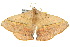  ( - 10ANIC-03381)  @14 [ ] CreativeCommons - Attribution (2010) CBG Photography Group Centre for Biodiversity Genomics