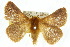  ( - 10ANIC-03387)  @15 [ ] CreativeCommons - Attribution (2010) CBG Photography Group Centre for Biodiversity Genomics