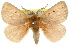 ( - 10ANIC-03400)  @15 [ ] CreativeCommons - Attribution (2010) CBG Photography Group Centre for Biodiversity Genomics
