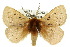  ( - 10ANIC-03402)  @14 [ ] CreativeCommons - Attribution (2010) CBG Photography Group Centre for Biodiversity Genomics