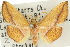  ( - 10ANIC-03464)  @11 [ ] CreativeCommons - Attribution (2010) CBG Photography Group Centre for Biodiversity Genomics