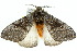  ( - 10ANIC-03546)  @14 [ ] CreativeCommons - Attribution (2010) CBG Photography Group Centre for Biodiversity Genomics
