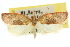  ( - 10ANIC-03829)  @11 [ ] CreativeCommons - Attribution (2010) CBG Photography Group Centre for Biodiversity Genomics