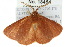  ( - 10ANIC-03942)  @14 [ ] CreativeCommons - Attribution (2010) CBG Photography Group Centre for Biodiversity Genomics