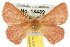  ( - 10ANIC-03943)  @15 [ ] CreativeCommons - Attribution (2010) CBG Photography Group Centre for Biodiversity Genomics