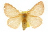  ( - 10ANIC-03959)  @14 [ ] CreativeCommons - Attribution (2010) CBG Photography Group Centre for Biodiversity Genomics