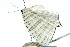  ( - 10ANIC-04154)  @12 [ ] CreativeCommons - Attribution (2010) CBG Photography Group Centre for Biodiversity Genomics