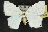  ( - 10ANIC-04169)  @14 [ ] CreativeCommons - Attribution (2010) CBG Photography Group Centre for Biodiversity Genomics