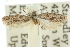  ( - 10ANIC-04362)  @11 [ ] CreativeCommons - Attribution (2010) CBG Photography Group Centre for Biodiversity Genomics