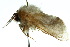  ( - 10ANIC-04404)  @12 [ ] CreativeCommons - Attribution (2010) CBG Photography Group Centre for Biodiversity Genomics