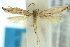  ( - 10ANIC-04484)  @13 [ ] CreativeCommons - Attribution (2010) CBG Photography Group Centre for Biodiversity Genomics