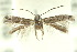  ( - 10ANIC-04551)  @14 [ ] CreativeCommons - Attribution (2010) CBG Photography Group Centre for Biodiversity Genomics