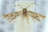  ( - 10ANIC-04731)  @13 [ ] CreativeCommons - Attribution (2010) CBG Photography Group Centre for Biodiversity Genomics