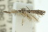  ( - 10ANIC-04757)  @12 [ ] CreativeCommons - Attribution (2010) CBG Photography Group Centre for Biodiversity Genomics
