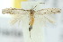 ( - 10ANIC-04968)  @13 [ ] CreativeCommons - Attribution (2010) CBG Photography Group Centre for Biodiversity Genomics