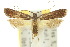  ( - 10ANIC-05034)  @11 [ ] CreativeCommons - Attribution (2010) CBG Photography Group Centre for Biodiversity Genomics