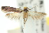  ( - 10ANIC-05108)  @11 [ ] CreativeCommons - Attribution (2010) CBG Photography Group Centre for Biodiversity Genomics