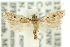  (Sarisophora dispila - 10ANIC-05132)  @14 [ ] CreativeCommons - Attribution (2010) CBG Photography Group Centre for Biodiversity Genomics