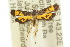  ( - 10ANIC-05151)  @11 [ ] CreativeCommons - Attribution (2010) CBG Photography Group Centre for Biodiversity Genomics