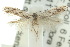  ( - 10ANIC-05221)  @13 [ ] CreativeCommons - Attribution (2010) CBG Photography Group Centre for Biodiversity Genomics