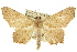  ( - 10ANIC-05279)  @14 [ ] CreativeCommons - Attribution (2010) CBG Photography Group Centre for Biodiversity Genomics