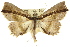  ( - 10ANIC-05319)  @14 [ ] CreativeCommons - Attribution (2010) CBG Photography Group Centre for Biodiversity Genomics