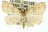 ( - 10ANIC-05527)  @11 [ ] CreativeCommons - Attribution (2010) CBG Photography Group Centre for Biodiversity Genomics