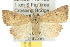  ( - 10ANIC-05627)  @15 [ ] CreativeCommons - Attribution (2010) CBG Photography Group Centre for Biodiversity Genomics