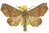  ( - 10ANIC-05661)  @15 [ ] CreativeCommons - Attribution (2010) CBG Photography Group Centre for Biodiversity Genomics