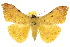  ( - 10ANIC-05666)  @14 [ ] CreativeCommons - Attribution (2010) CBG Photography Group Centre for Biodiversity Genomics