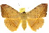  ( - 10ANIC-05667)  @15 [ ] CreativeCommons - Attribution (2010) CBG Photography Group Centre for Biodiversity Genomics