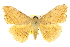  ( - 10ANIC-05668)  @14 [ ] CreativeCommons - Attribution (2010) CBG Photography Group Centre for Biodiversity Genomics