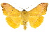  ( - 10ANIC-05669)  @15 [ ] CreativeCommons - Attribution (2010) CBG Photography Group Centre for Biodiversity Genomics