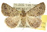  ( - 10ANIC-05774)  @15 [ ] CreativeCommons - Attribution (2010) CBG Photography Group Centre for Biodiversity Genomics
