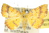  ( - 10ANIC-05780)  @12 [ ] CreativeCommons - Attribution (2010) CBG Photography Group Centre for Biodiversity Genomics
