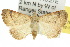  ( - 10ANIC-05789)  @15 [ ] CreativeCommons - Attribution (2010) CBG Photography Group Centre for Biodiversity Genomics