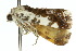 ( - 10ANIC-05811)  @13 [ ] CreativeCommons - Attribution (2010) CBG Photography Group Centre for Biodiversity Genomics