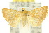  ( - 10ANIC-05930)  @14 [ ] CreativeCommons - Attribution (2010) CBG Photography Group Centre for Biodiversity Genomics