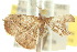  ( - 10ANIC-05934)  @12 [ ] CreativeCommons - Attribution (2010) CBG Photography Group Centre for Biodiversity Genomics