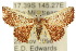  (Corgatha figuralis - 10ANIC-06052)  @15 [ ] CreativeCommons - Attribution (2010) CBG Photography Group Centre for Biodiversity Genomics