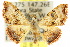  ( - 10ANIC-06070)  @13 [ ] CreativeCommons - Attribution (2010) CBG Photography Group Centre for Biodiversity Genomics