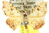  ( - 10ANIC-06071)  @14 [ ] CreativeCommons - Attribution (2010) CBG Photography Group Centre for Biodiversity Genomics